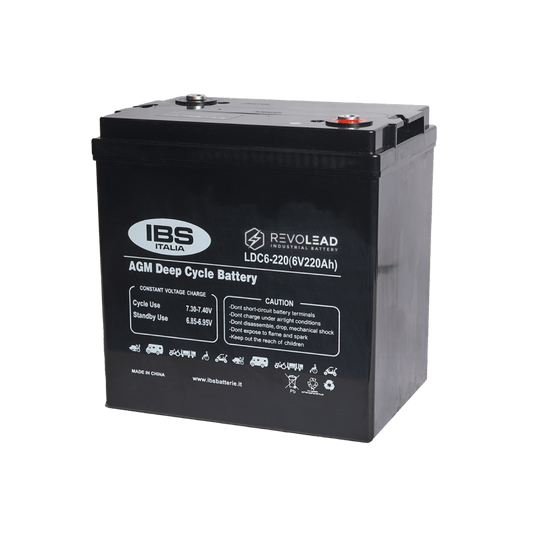 Batteria auto REVOLEAD LDC6 220 AGM 6V 220Ah