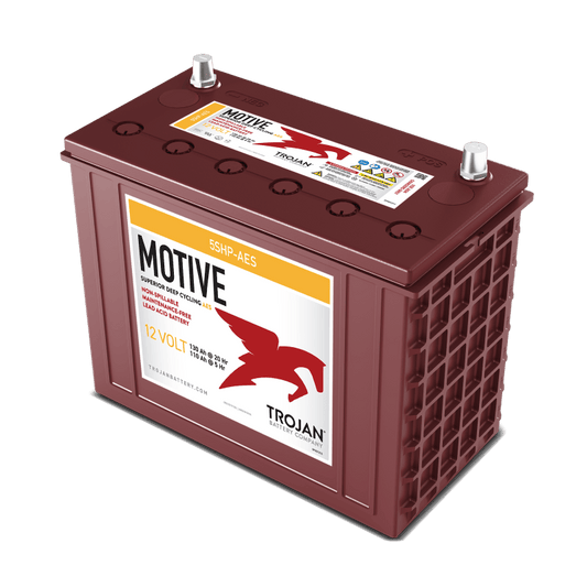 Batteria Trojan 5SHP-AES 12V 130AH