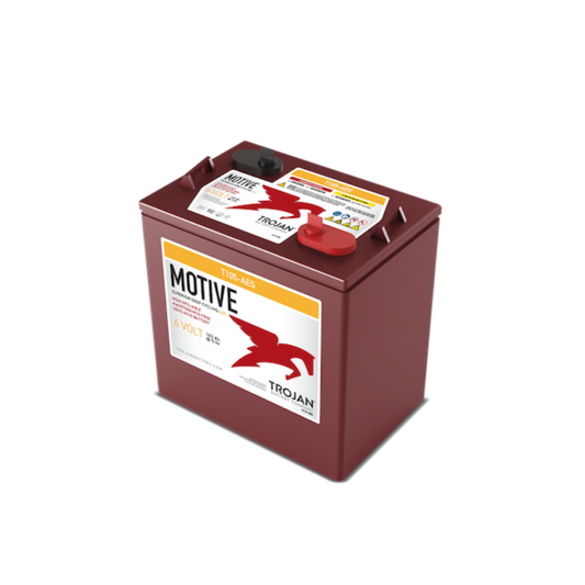 Batteria auto Trojan T105 AES AGM 6V 202Ah