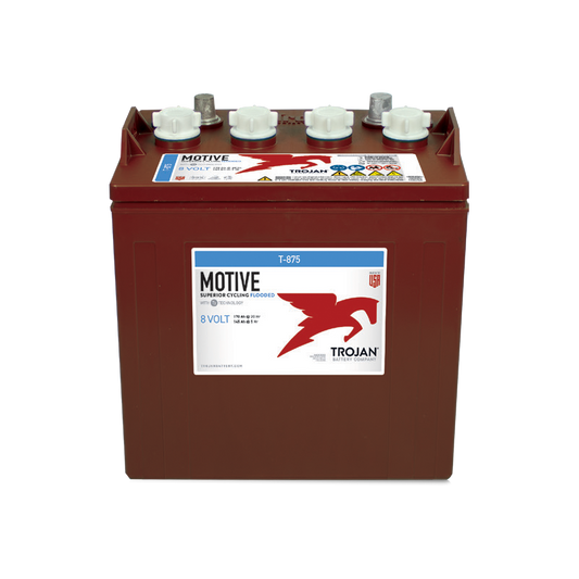 Batteria auto Trojan T875 PIOMBO 8V 170Ah