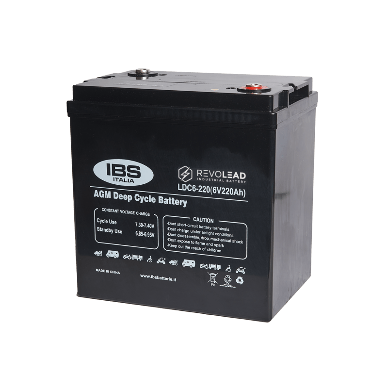 Batteria Revolead LDC6-220 6V 220AH