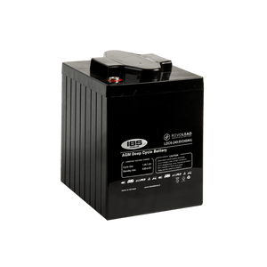 Batteria Revolead LDC6-240 6V 240AH