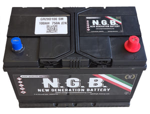 Batteria NGB D31D100 12V 100AH 750A (EN)
