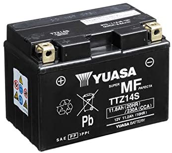 Batteria Moto Yuasa TTZ14S-BS 12V 11.2AH 230A (CCA)